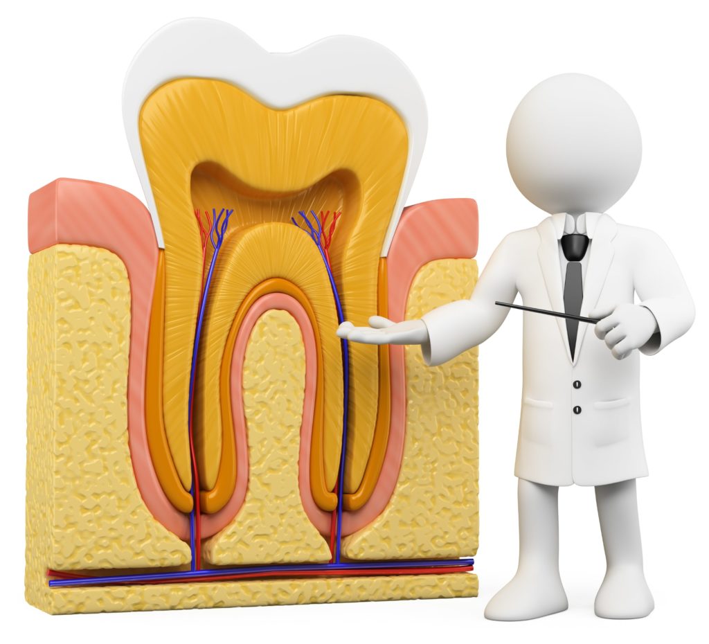 51 endodontia 1 1024x930 - Tratamento de Canal - Endodontia